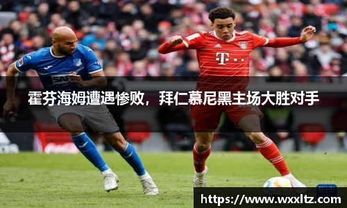 博鱼中国官方入口