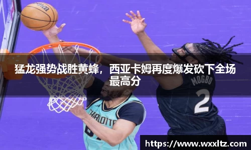 博鱼官网